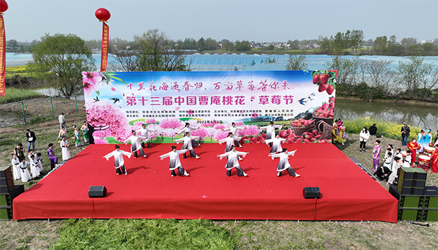 第十三届中国曹庵“桃花·草莓节”开幕