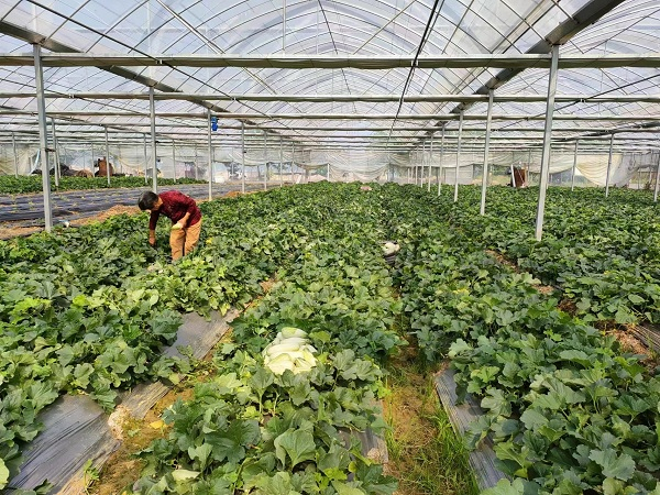 微信图片_20230522094937